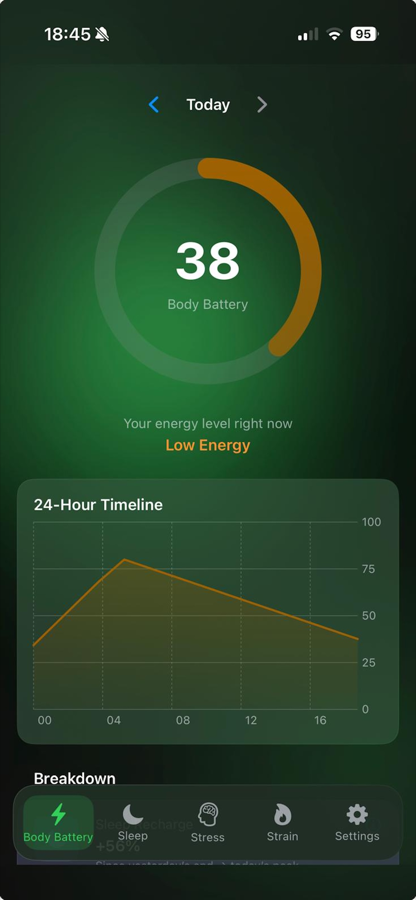 Body Battery detail timeline