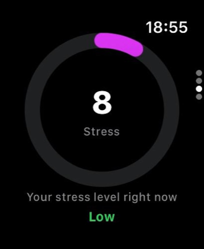 Stress on Apple Watch